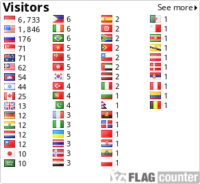 Flag Counter