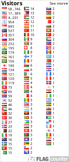 Flag Counter