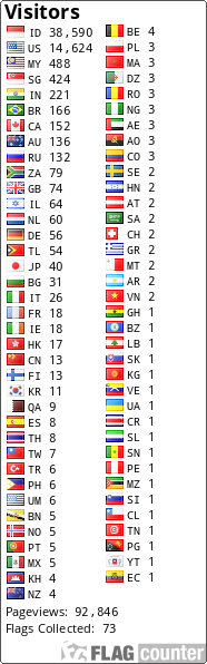 Flag Counter