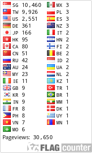 Flag Counter