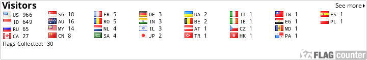 Flag Counter