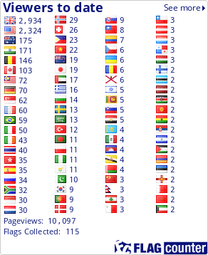 Flag Counter