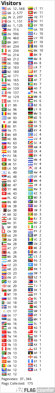 Flag Counter