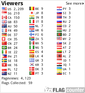 Flag Counter