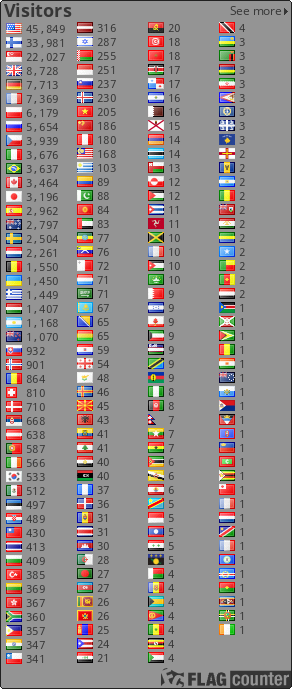 Flag Counter
