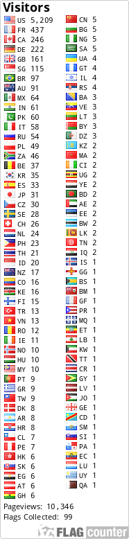 Flag Counter