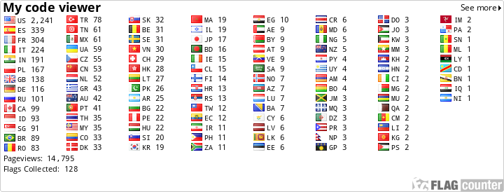 Flag Counter