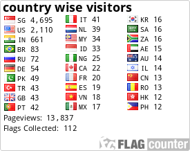 Flag Counter