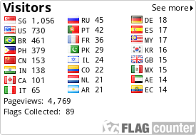 Flag Counter