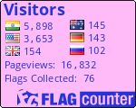 Flag Counter