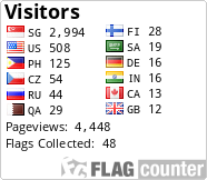 Flag Counter