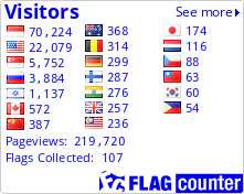 Flag Counter