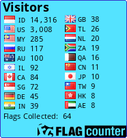 Flag Counter