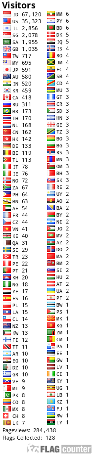 Flag Counter