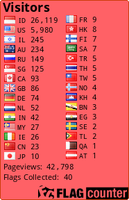 Flag Counter