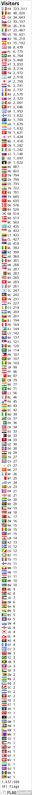 Flag Counter