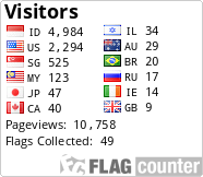 Flag Counter