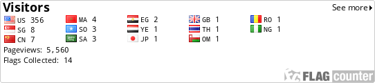 Flag Counter