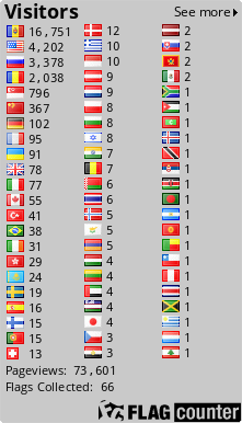 Flag Counter