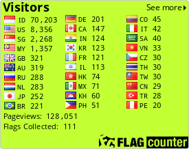 Flag Counter