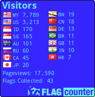 Flag Counter