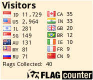 Flag Counter