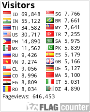Flag Counter
