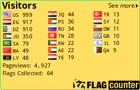 Flag Counter
