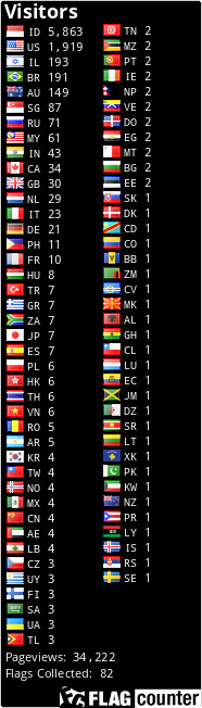 Flag Counter