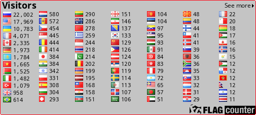 Flag Counter