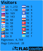 Flag Counter