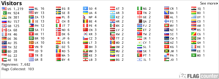 Flag Counter