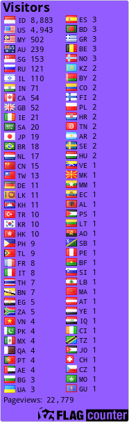 Flag Counter