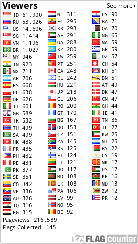 Flag Counter