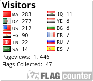 Flag Counter