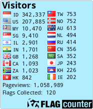 Flag Counter