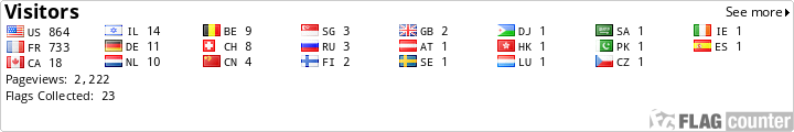Flag Counter