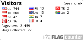 Flag Counter