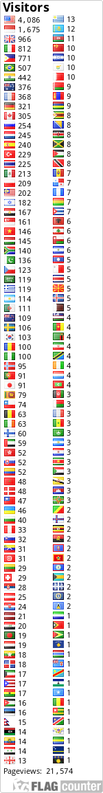 Flag Counter