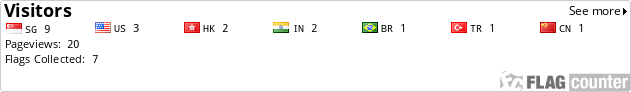 Flag Counter