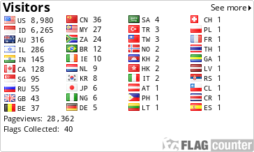 Flag Counter
