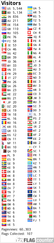 Flag Counter