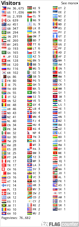 Flag Counter