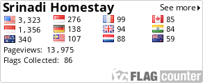 Free counters!