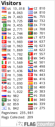 Flag Counter
