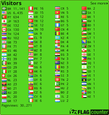 Flag Counter