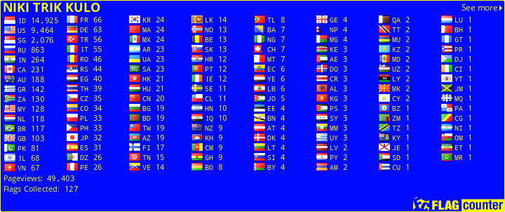 Flag Counter
