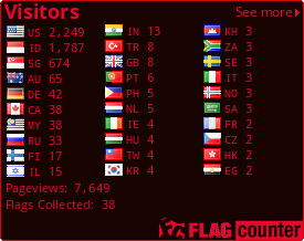 Flag Counter