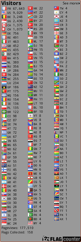 Flag Counter