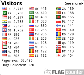 Flag Counter